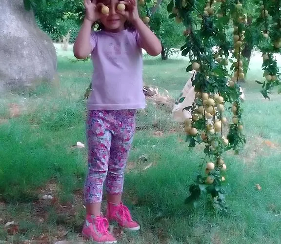 Landsted Antico Casale Dei Sogni