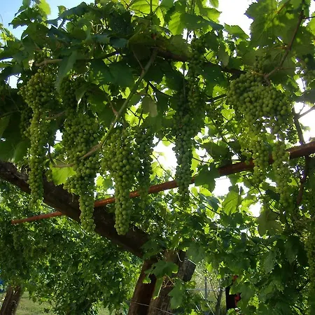 Antico Casale Dei Sogni *