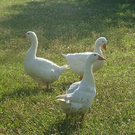 Antico Casale Dei Sogni