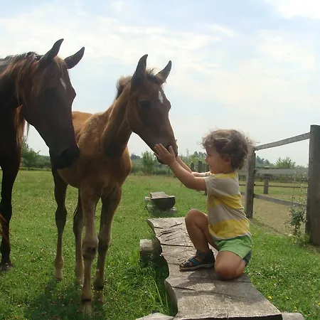 Antico Casale Dei Sogni * Lugo (Ravenna)