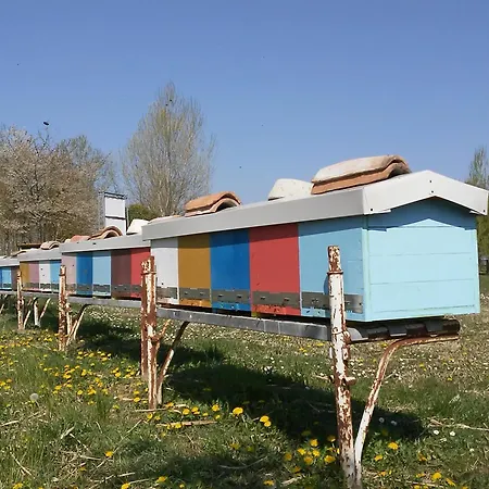 Gospodarstwo wiejskie Antico Casale Dei Sogni Lugo (Ravenna)