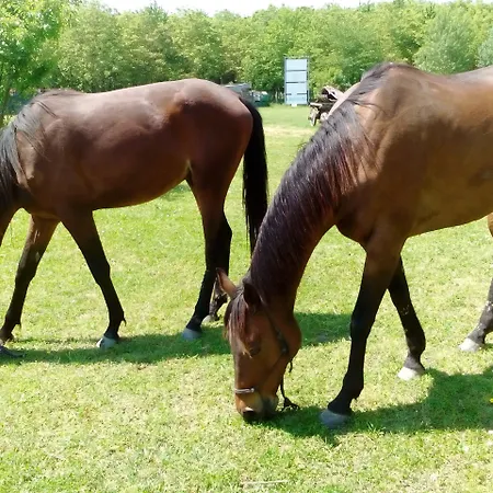 Antico Casale Dei Sogni Casa rural