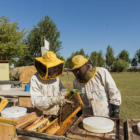 Antico Casale Dei Sogni