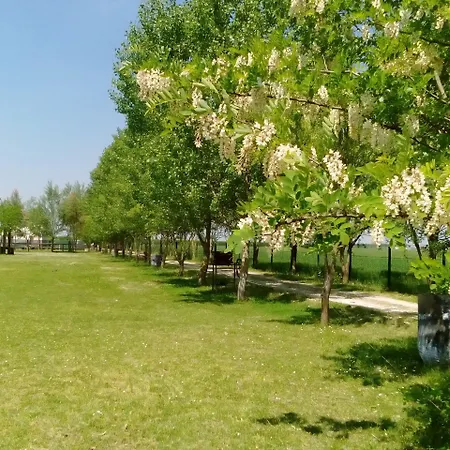 Antico Casale Dei Sogni לוגו