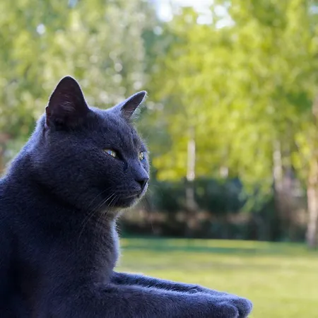 Antico Casale Dei Sogni * Lugo (Ravenna)