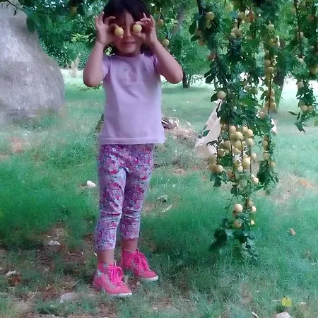 Casa rural Antico Casale Dei Sogni