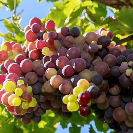 Antico Casale Dei Sogni