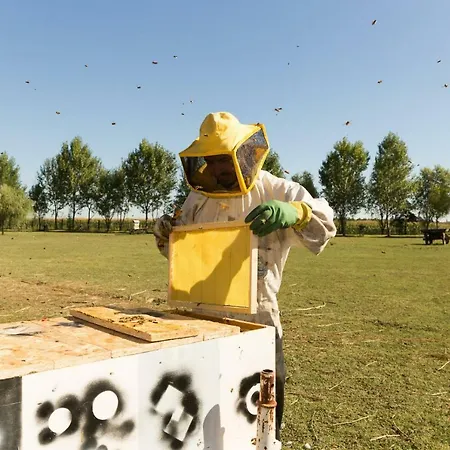 Antico Casale Dei Sogni * Lugo (Ravenna)