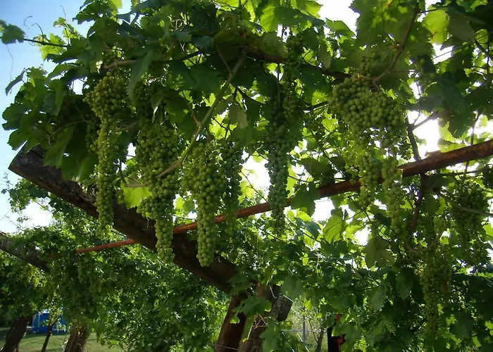 Antico Casale Dei Sogni *