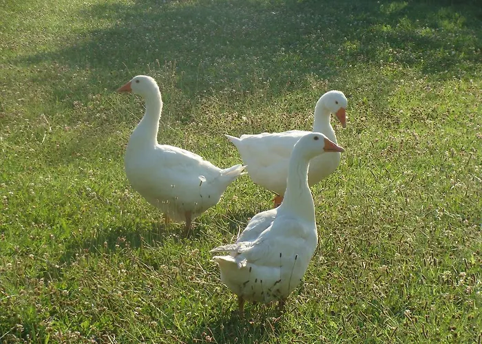 Antico Casale Dei Sogni