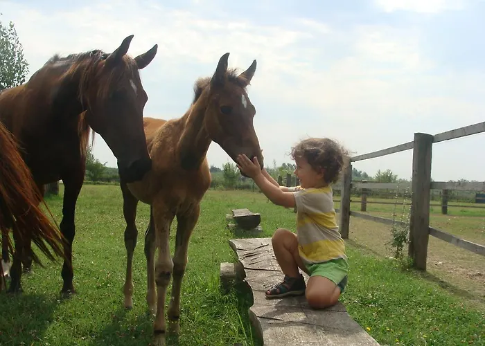 Antico Casale Dei Sogni * Lugo (Ravenna)