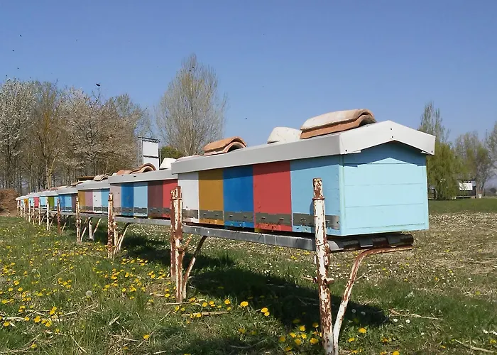 Gospodarstwo wiejskie Antico Casale Dei Sogni Lugo (Ravenna)