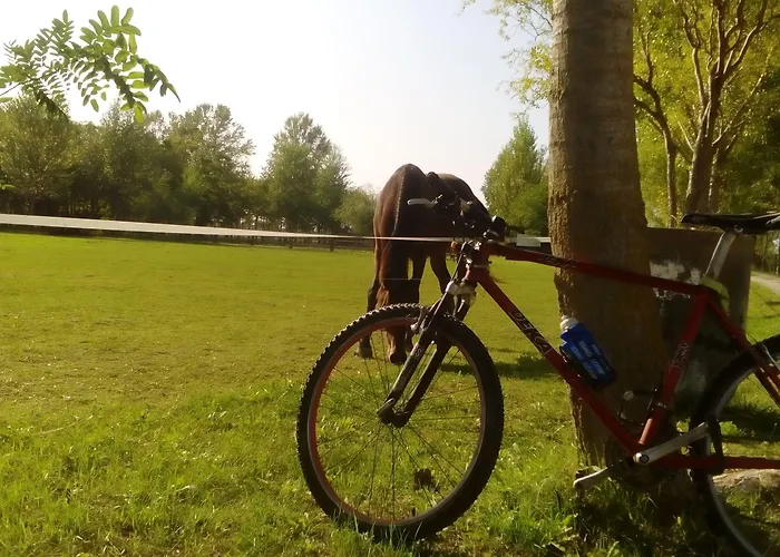 カントリーハウス Antico Casale Dei Sogni *