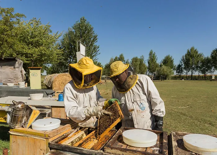Antico Casale Dei Sogni
