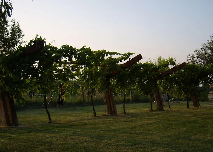 Antico Casale Dei Sogni Gospodarstwo wiejskie *