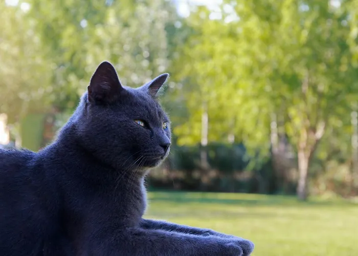 Antico Casale Dei Sogni * Lugo (Ravenna)