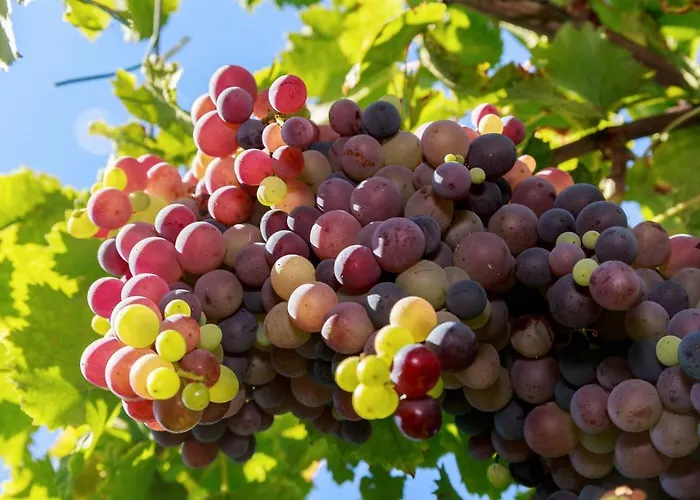 Antico Casale Dei Sogni