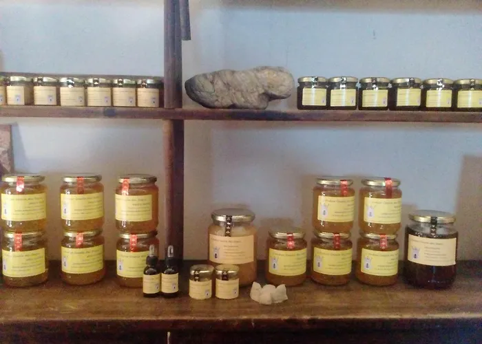 Gospodarstwo wiejskie Antico Casale Dei Sogni